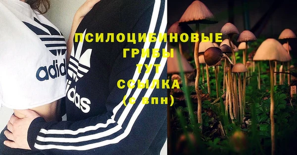 эйфоретик Алзамай