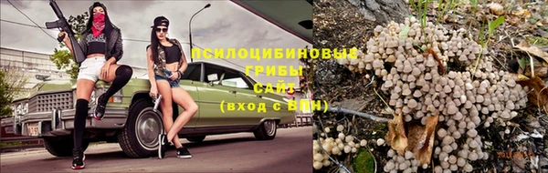 герыч Алексин