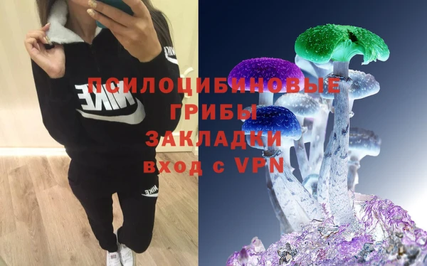 ГАЛЛЮЦИНОГЕННЫЕ ГРИБЫ Мегион