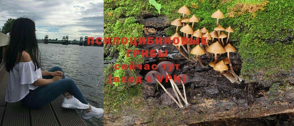 ешки Алексеевка