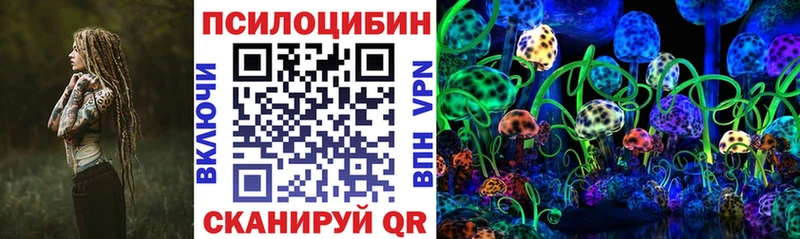 наркота  Дыгулыбгей  Псилоцибиновые грибы MAGIC MUSHROOMS 